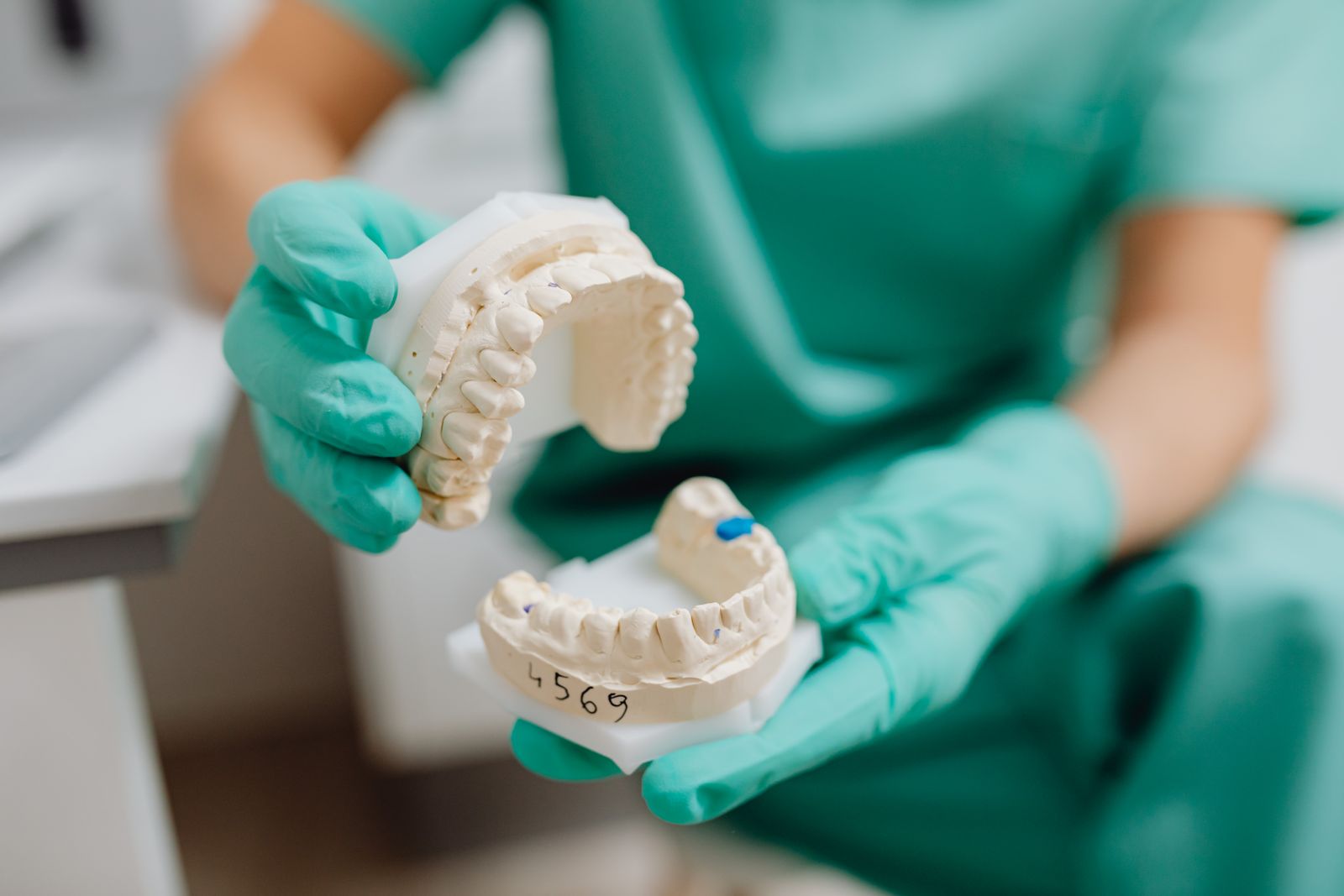 A dentist holding a dental cast model in a clinic