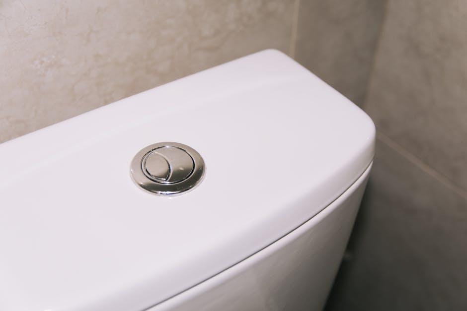 Dual-flush buttons on a modern toilet