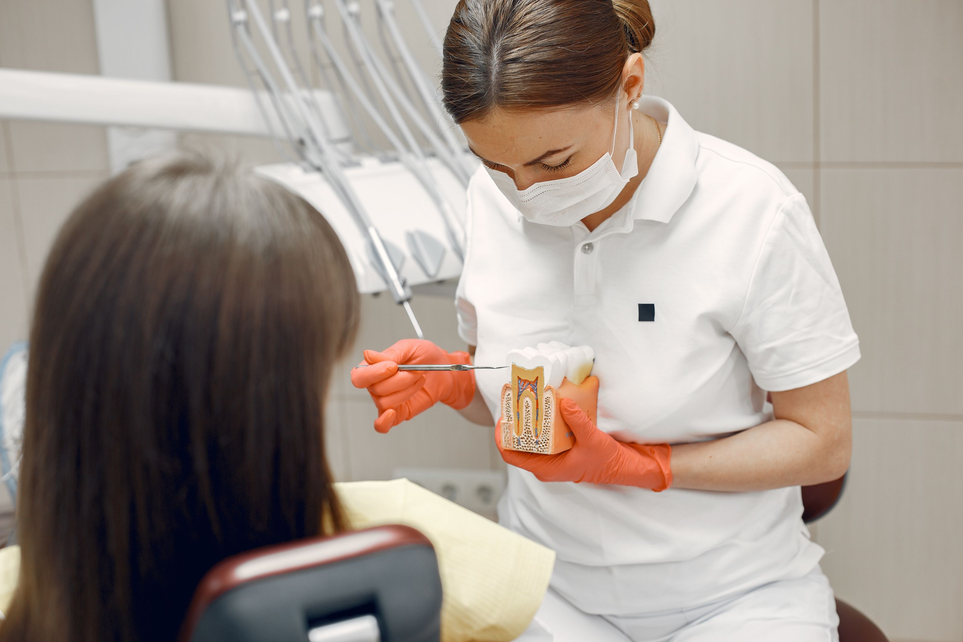 A dentist explaining treatment to a patient using a model tooth