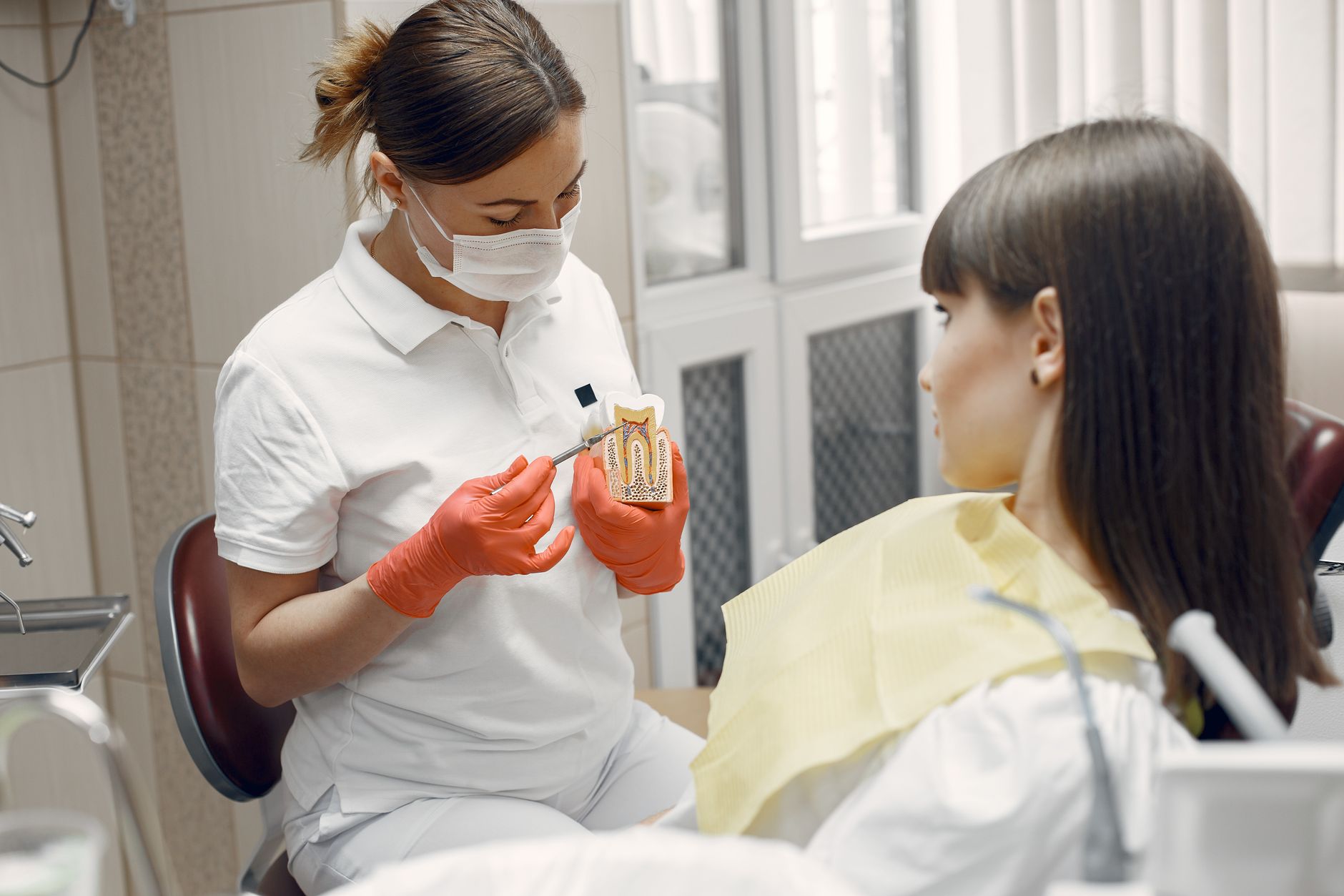 Dentist showing a tooth model to a patient in a clinic